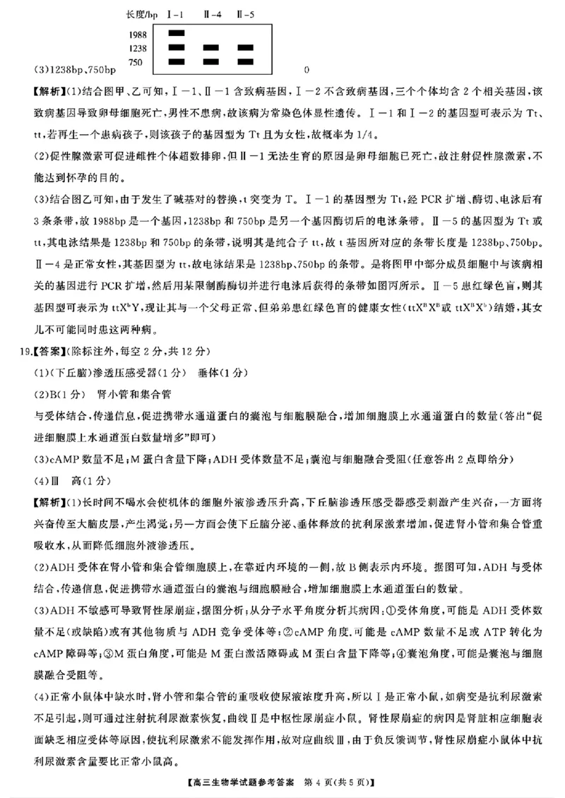 生物答案_2024-2025高三（6-6月题库）_2024年10月试卷_1028山西省三重教育2025届高三10月联考_山西省三重教育2025届10月联考生物