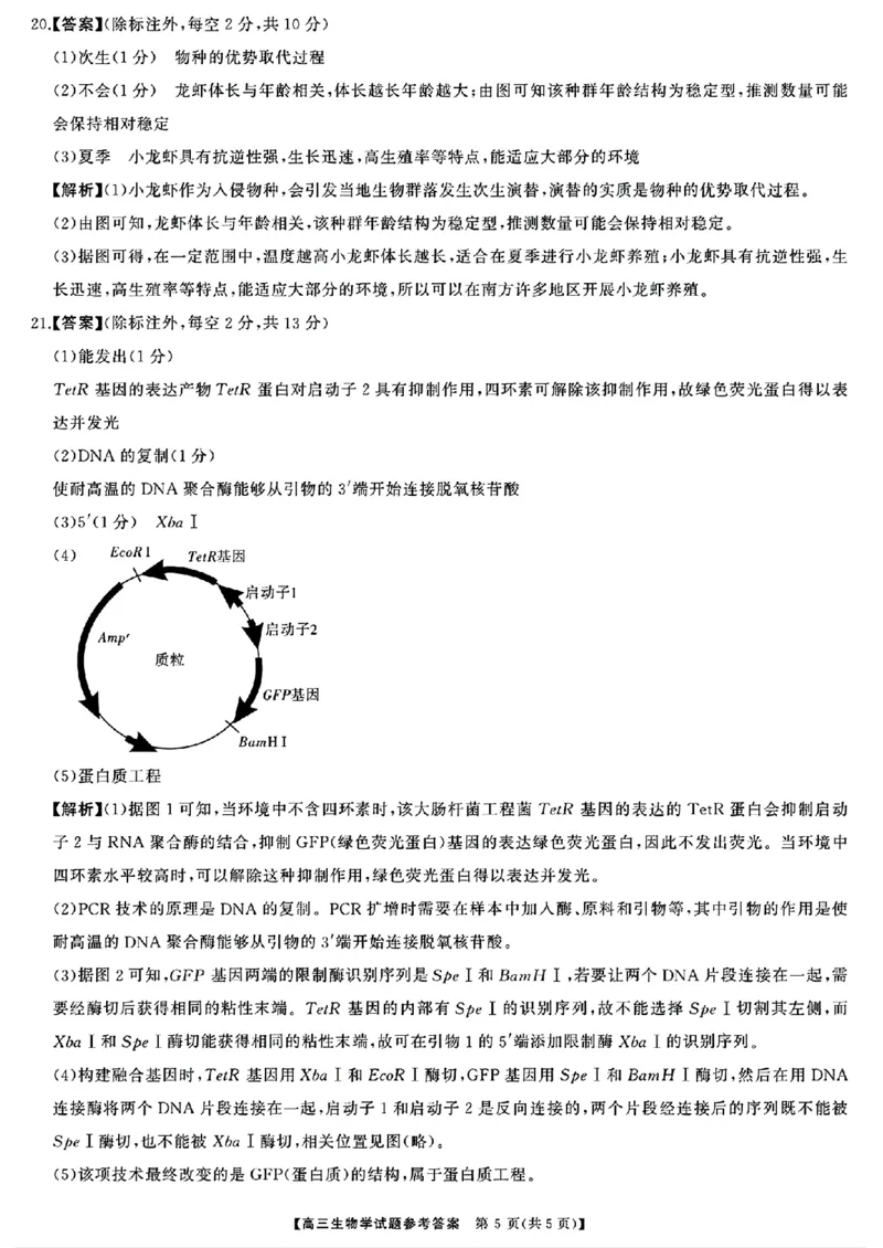 生物答案_2024-2025高三（6-6月题库）_2024年10月试卷_1028山西省三重教育2025届高三10月联考_山西省三重教育2025届10月联考生物
