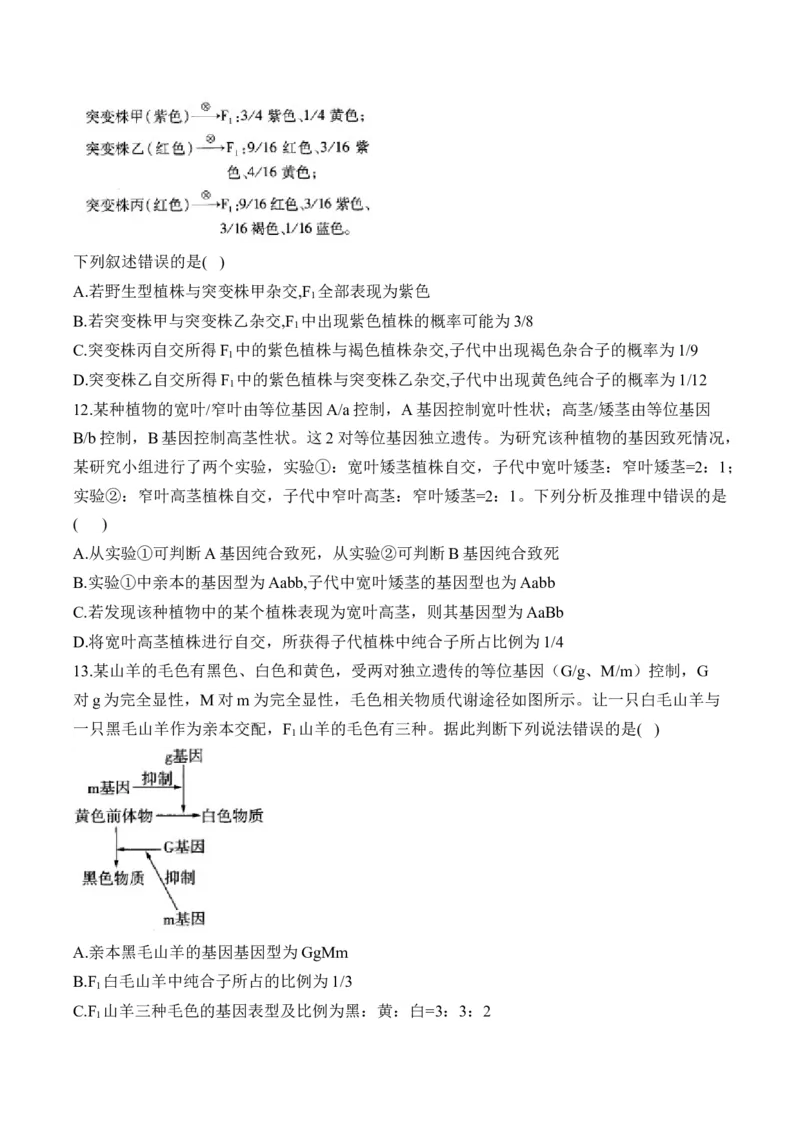 （11）基因的自由组合定律&mdash;&mdash;高考生物二轮复习易错重难提升（含解析）_2024-2025高三（6-6月题库）_2026年1月高三_260104高考生物二轮复习易错重难提升（含解析）