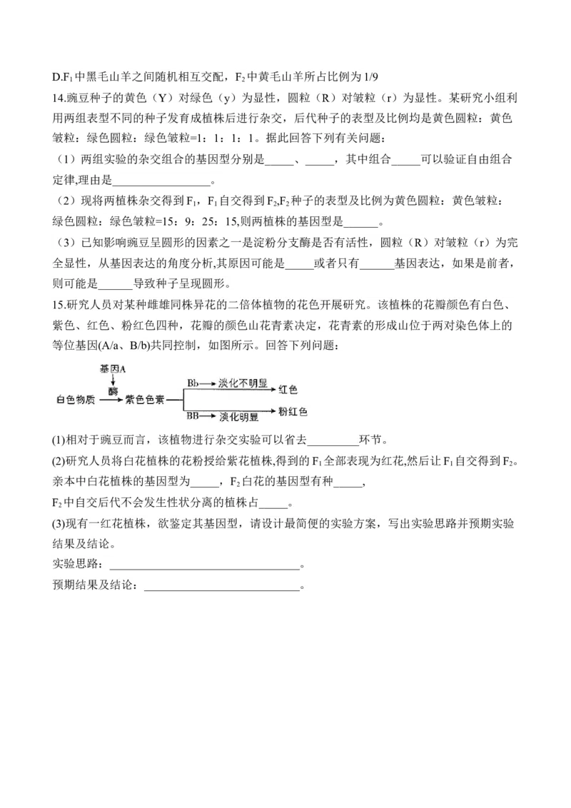 （11）基因的自由组合定律&mdash;&mdash;高考生物二轮复习易错重难提升（含解析）_2024-2025高三（6-6月题库）_2026年1月高三_260104高考生物二轮复习易错重难提升（含解析）