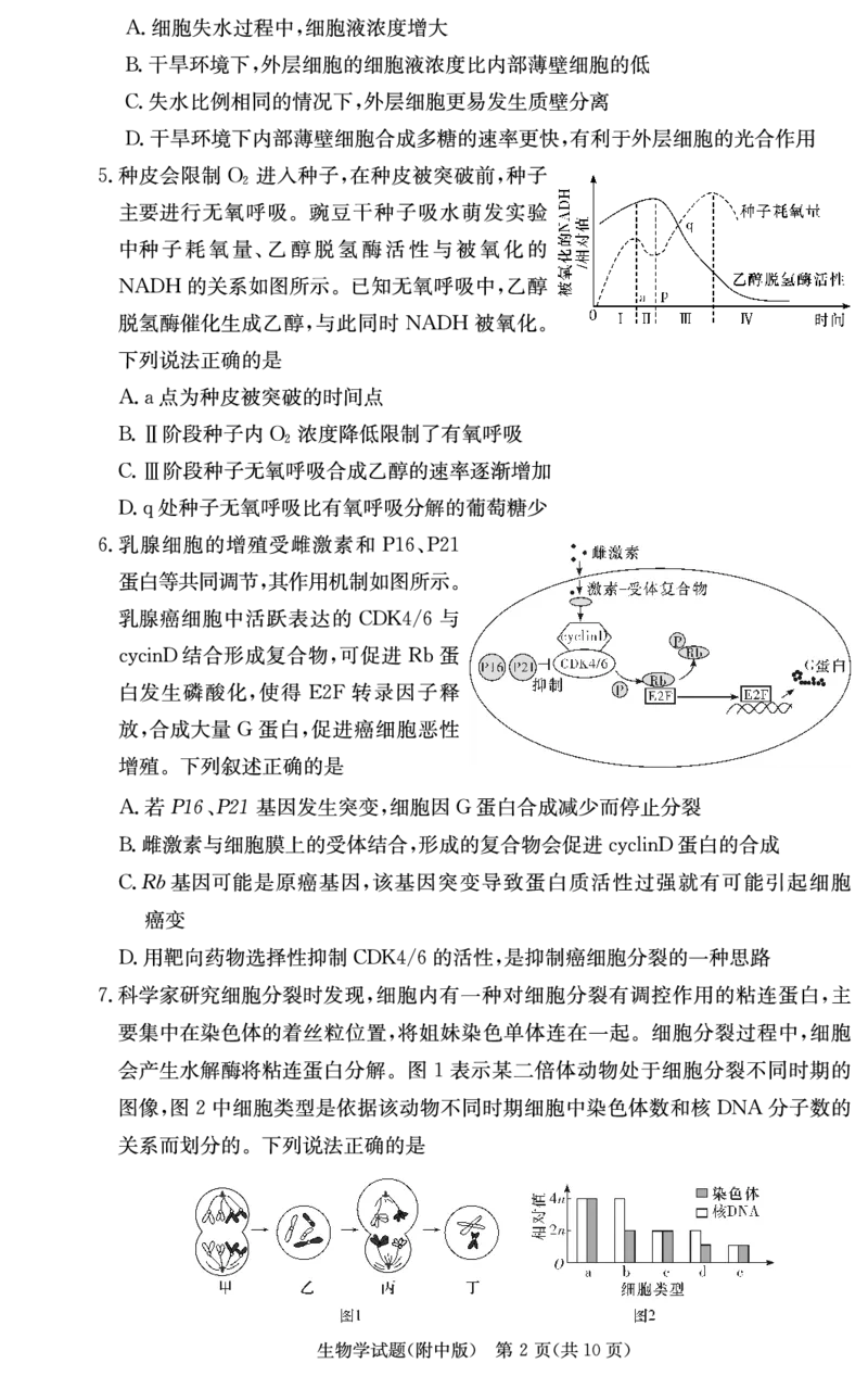 生物学用（附中2次）_2024-2025高三（6-6月题库）_2024年10月试卷_10072025届湖南省&rdquo;炎德英才&ldquo;师大附中高三10月月考_湖南省湖南师范大学附属中学2025届高三上学期月考（二）生物