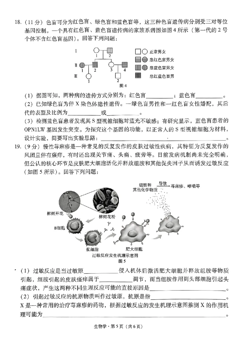 贵州省贵阳市第一中学2025届高三上学期高考适应性月考（二）英语_2024-2025高三（6-6月题库）_2024年10月试卷_1027贵州省贵阳市第一中学2025届高三上学期高考适应性月考（二）