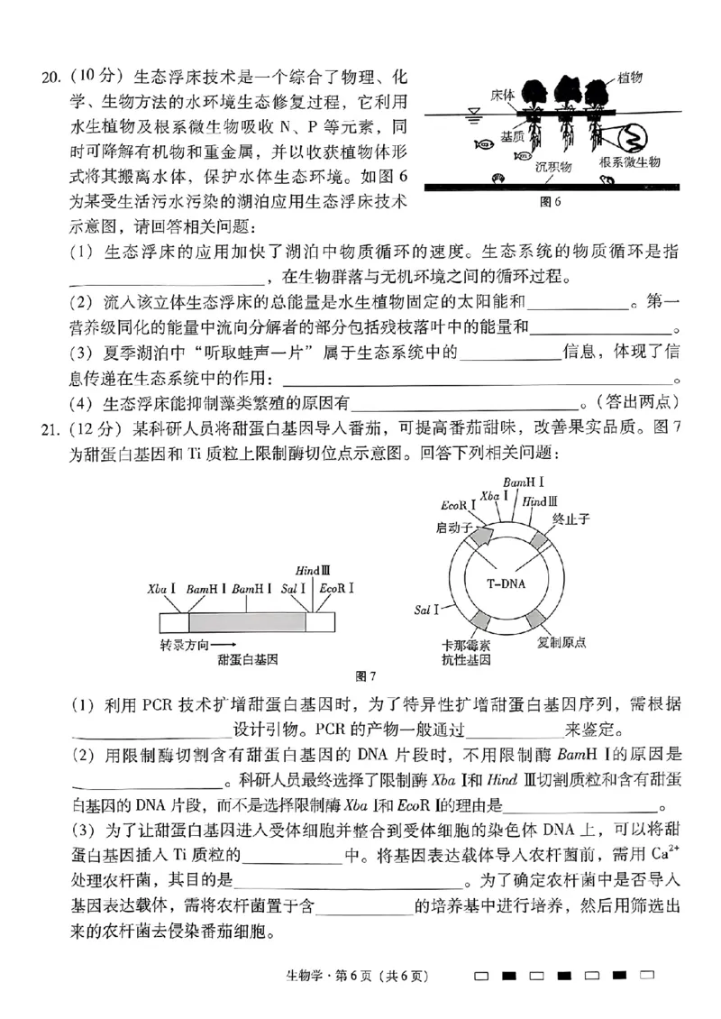 贵州省贵阳市第一中学2025届高三上学期高考适应性月考（二）英语_2024-2025高三（6-6月题库）_2024年10月试卷_1027贵州省贵阳市第一中学2025届高三上学期高考适应性月考（二）