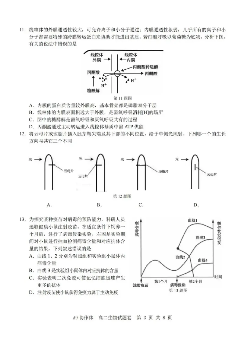 浙江省A9协作体2025-2026学年高二上学期11月期中生物试题含答案_2025年11月高二试卷_251116浙江省A9协作体2025-2026学年高二上学期期中联考（全）