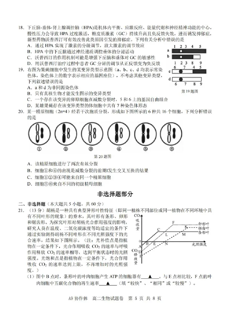 浙江省A9协作体2025-2026学年高二上学期11月期中生物试题含答案_2025年11月高二试卷_251116浙江省A9协作体2025-2026学年高二上学期期中联考（全）