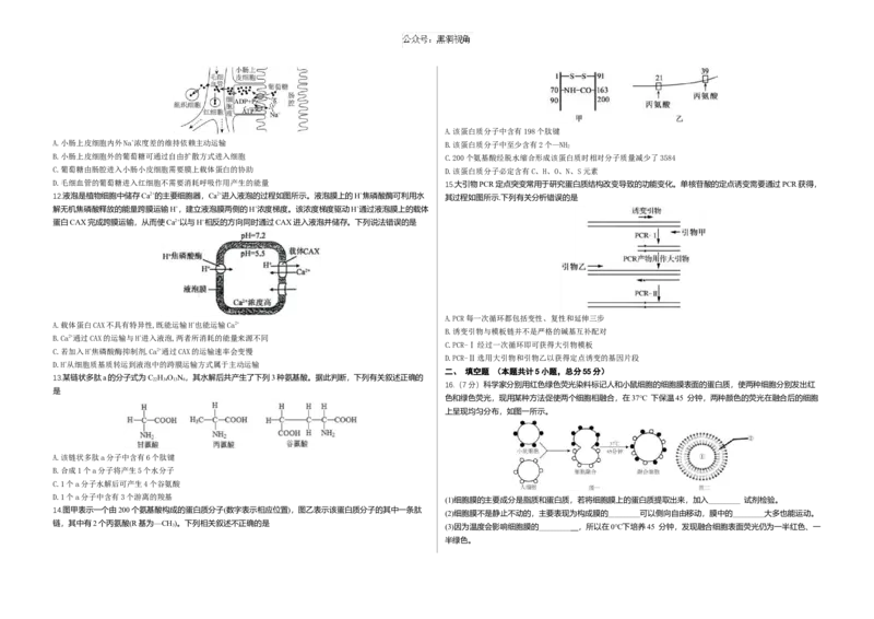 重庆市涪陵五中高2025届2024年上期开学考试生物试题（含答案）_2024-2025高三（6-6月题库）_2024年10月试卷_1008重庆市涪陵第五中学2024-2025学年高三上学期开学考试