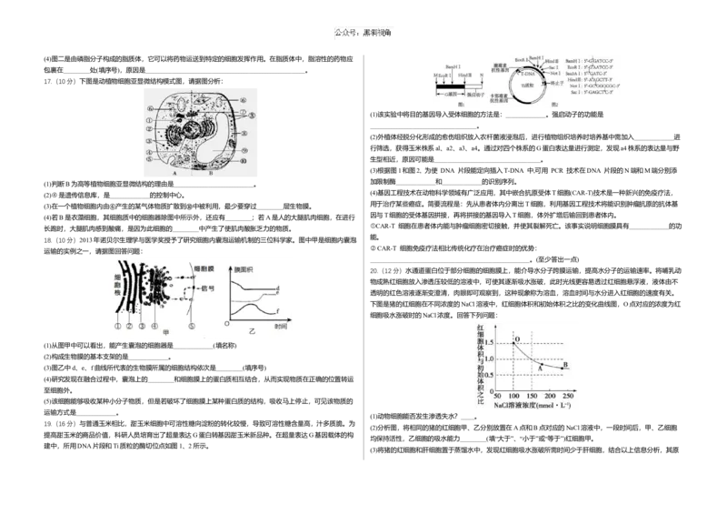 重庆市涪陵五中高2025届2024年上期开学考试生物试题（含答案）_2024-2025高三（6-6月题库）_2024年10月试卷_1008重庆市涪陵第五中学2024-2025学年高三上学期开学考试