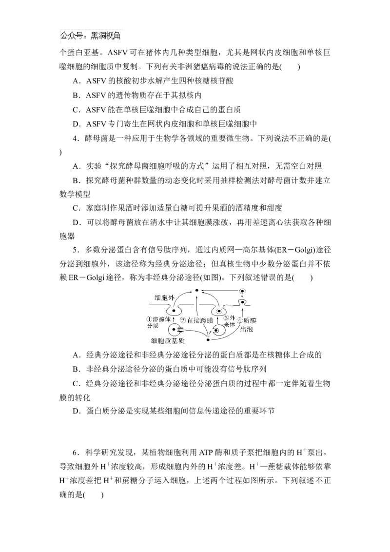 黑龙江省实验中学2024-2025学年高三上学期第二次月考生物试卷_2024-2025高三（6-6月题库）_2024年10月试卷_1031黑龙江省实验中学2024-2025学年高三上学期10月月考
