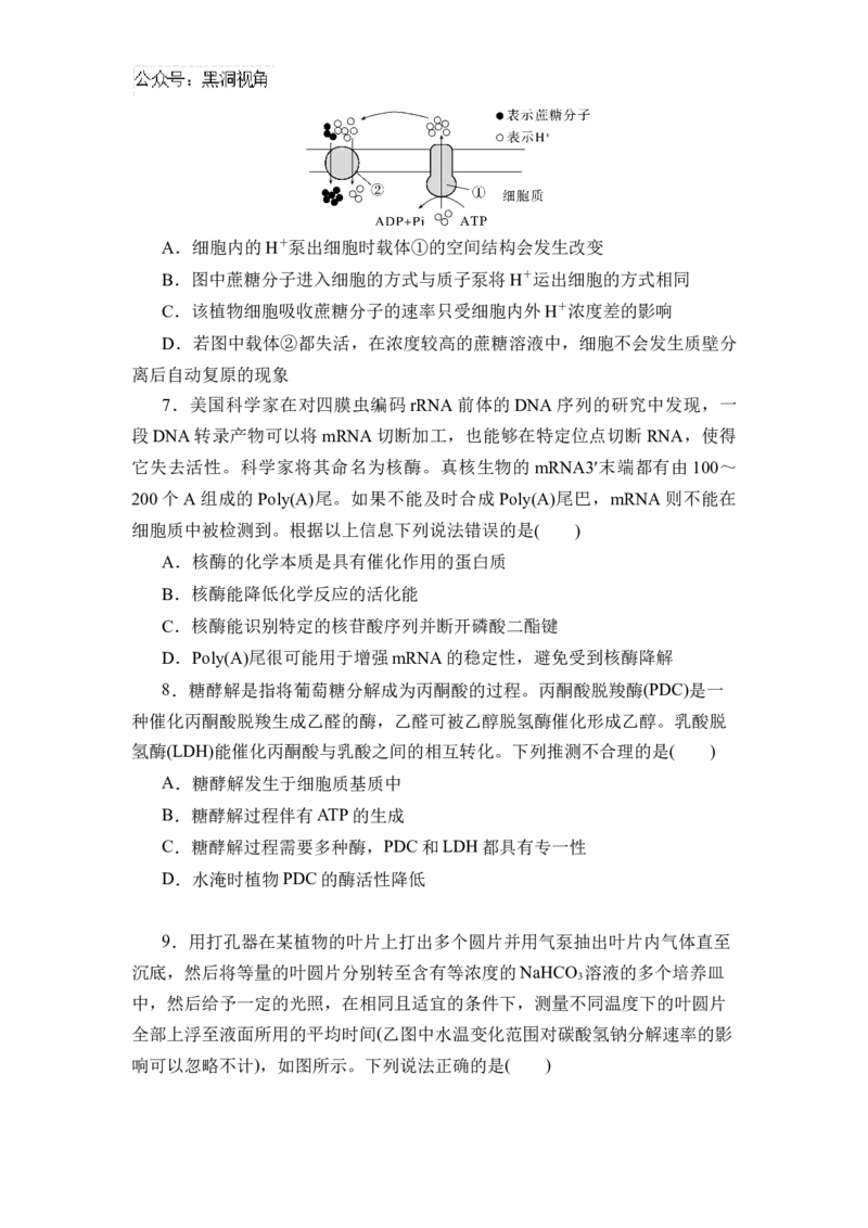 黑龙江省实验中学2024-2025学年高三上学期第二次月考生物试卷_2024-2025高三（6-6月题库）_2024年10月试卷_1031黑龙江省实验中学2024-2025学年高三上学期10月月考