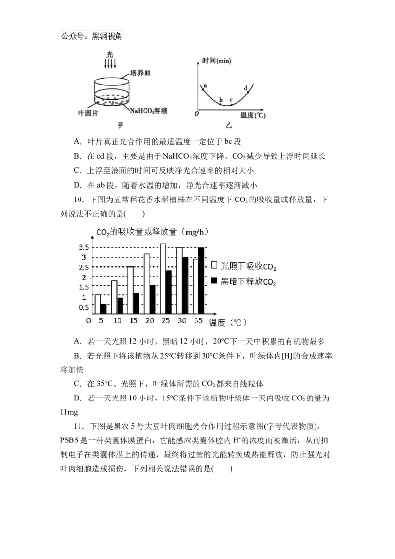 黑龙江省实验中学2024-2025学年高三上学期第二次月考生物试卷_2024-2025高三（6-6月题库）_2024年10月试卷_1031黑龙江省实验中学2024-2025学年高三上学期10月月考