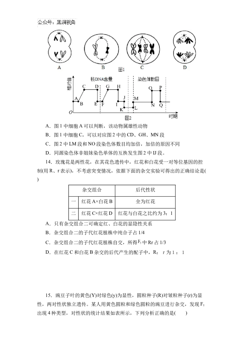 黑龙江省实验中学2024-2025学年高三上学期第二次月考生物试卷_2024-2025高三（6-6月题库）_2024年10月试卷_1031黑龙江省实验中学2024-2025学年高三上学期10月月考