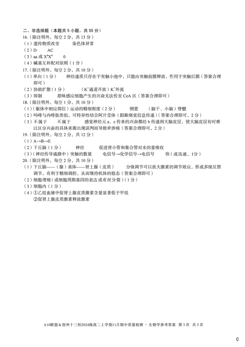生物学答案（C卷）A10联盟＆宿州十三校2024级高二上学期11月期中质量检测生物学答案c_2025年11月高二试卷_251124安徽省A10联盟＆宿州十三校2024级高二上学期11月期中质量检测（全）