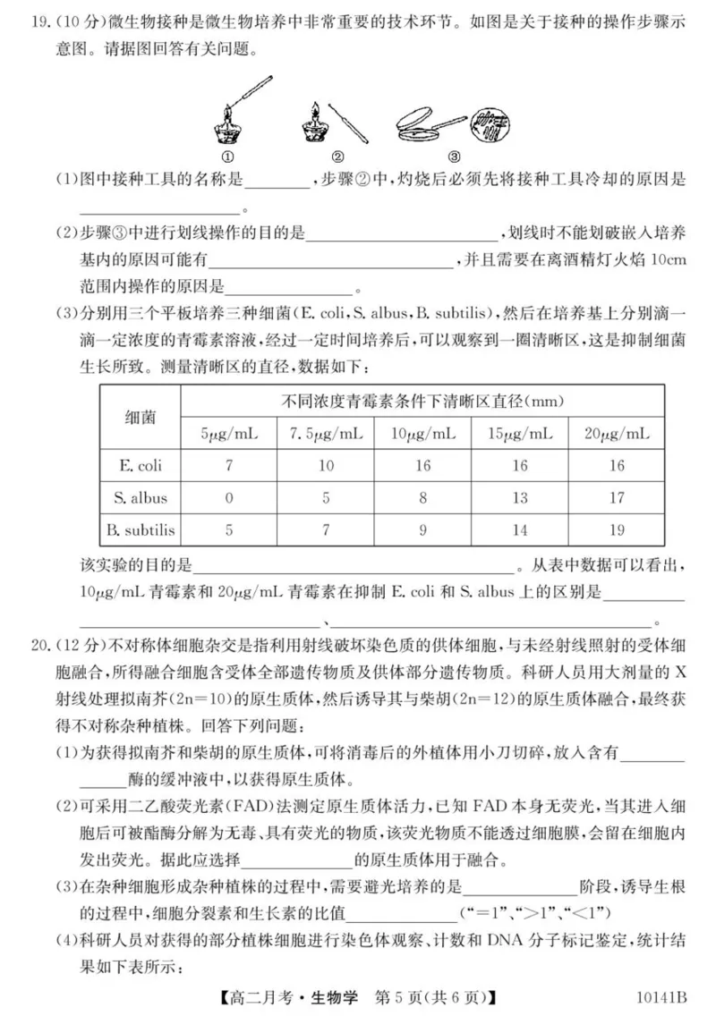 甘肃省定西市临洮县文峰中学2024-2025学年高二下学期第一次月考生物学试卷（PDF版，含答案）_2024-2025高二（7-7月题库）_2025年04月试卷(1)