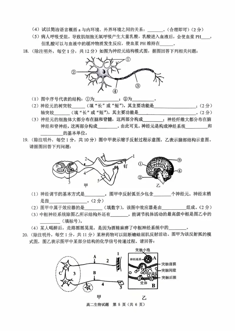 河南省驻马店市&ldquo;逐梦计划&rdquo;环际大联考2025-2026学年高二上学期阶段考试（一）生物PDF版含答案_2025年10月高二试卷
