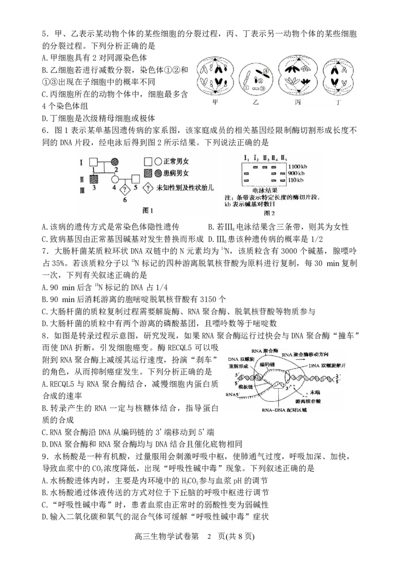辽宁省丹东市2025届高三上学期1月期末教学质量调研测试生物_2024-2025高三（6-6月题库）_2025年02月试卷_0202辽宁省丹东市2025届高三上学期1月期末教学质量调研测试（全科）