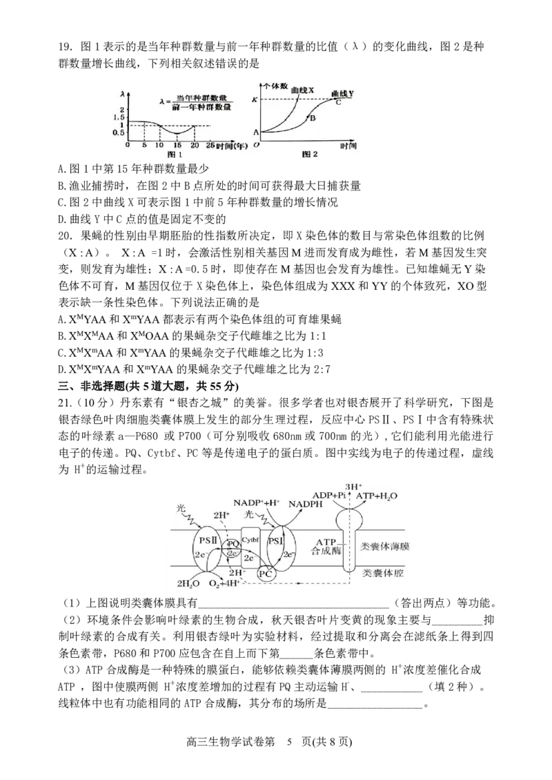 辽宁省丹东市2025届高三上学期1月期末教学质量调研测试生物_2024-2025高三（6-6月题库）_2025年02月试卷_0202辽宁省丹东市2025届高三上学期1月期末教学质量调研测试（全科）