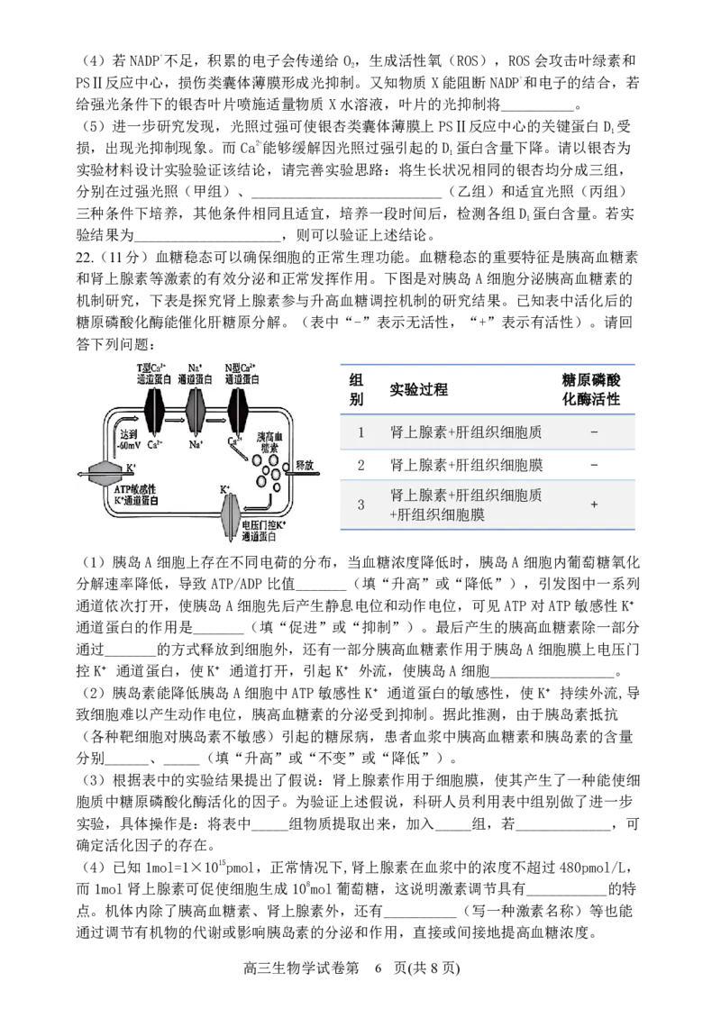 辽宁省丹东市2025届高三上学期1月期末教学质量调研测试生物_2024-2025高三（6-6月题库）_2025年02月试卷_0202辽宁省丹东市2025届高三上学期1月期末教学质量调研测试（全科）