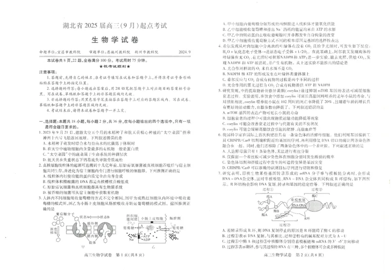 生物-湖北省&ldquo;宜荆荆恩&rdquo;2025届高三9月起点考试_2024-2025高三（6-6月题库）_2024年09月试卷_0906湖北省&ldquo;宜荆荆恩&rdquo;2025届高三9月起点考试