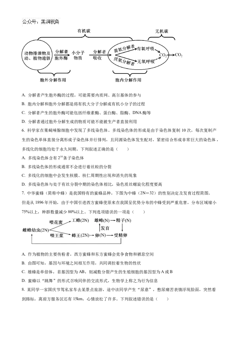 湖北省武汉外国语学校2025届高三上学期10月考试生物试题Word版无答案_2024-2025高三（6-6月题库）_2024年11月试卷_1104湖北省武汉外国语学校2025届高三上学期10月月考