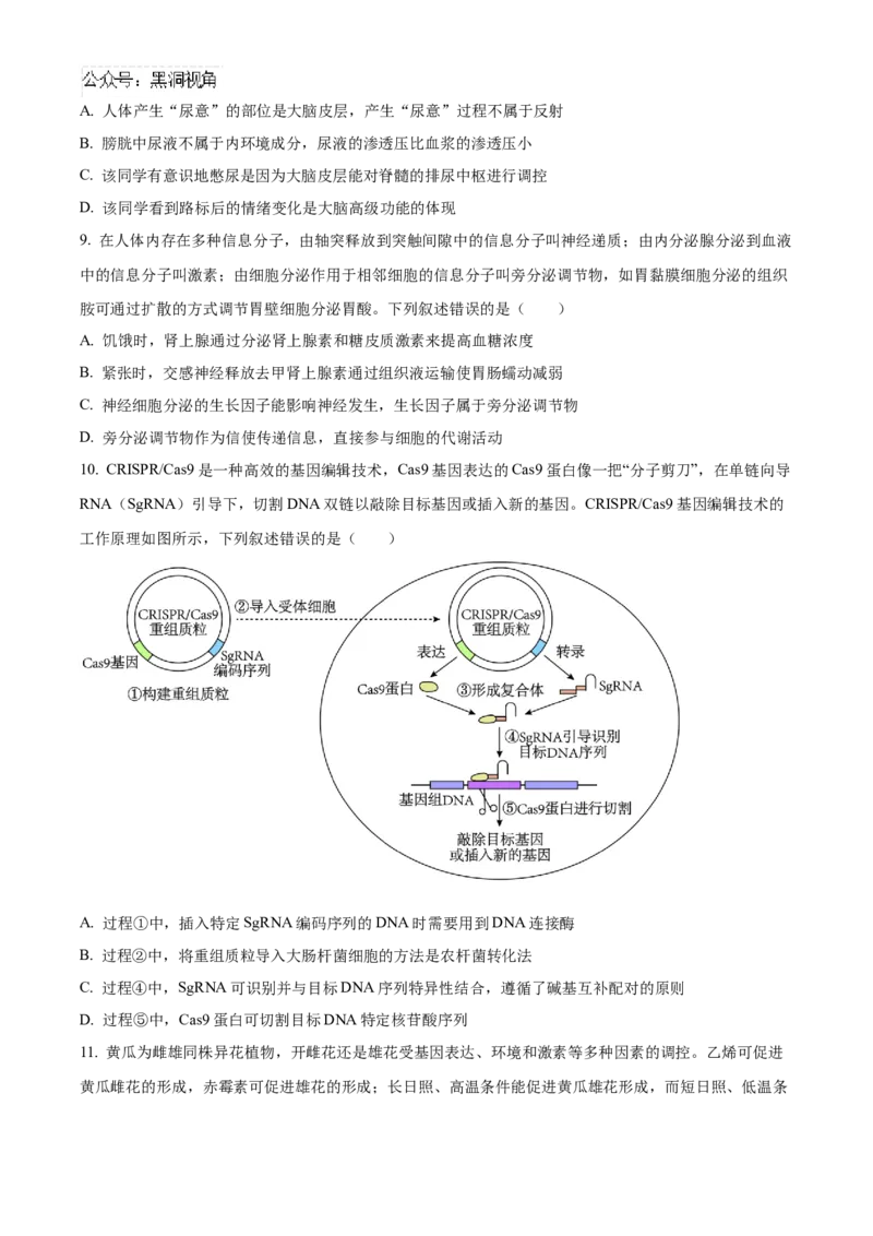 湖北省武汉外国语学校2025届高三上学期10月考试生物试题Word版无答案_2024-2025高三（6-6月题库）_2024年11月试卷_1104湖北省武汉外国语学校2025届高三上学期10月月考