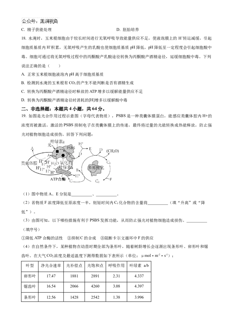 湖北省武汉外国语学校2025届高三上学期10月考试生物试题Word版无答案_2024-2025高三（6-6月题库）_2024年11月试卷_1104湖北省武汉外国语学校2025届高三上学期10月月考