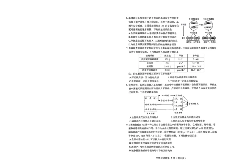 绵阳市高中2023级第二次诊断性考试生物_2024-2026高三（6-6月题库）_2026年01月高三试卷_0123四川省绵阳市高中2023级第二次诊断性考试（绵阳二诊A卷）（全）