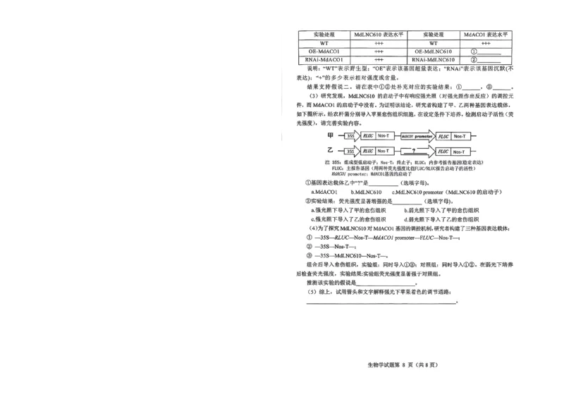 绵阳市高中2023级第二次诊断性考试生物_2024-2026高三（6-6月题库）_2026年01月高三试卷_0123四川省绵阳市高中2023级第二次诊断性考试（绵阳二诊A卷）（全）