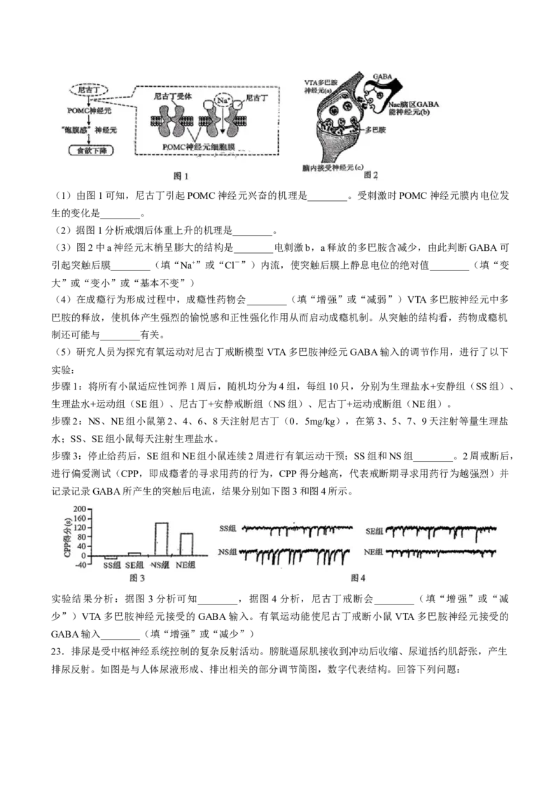 河北省邢台市第一中学2025-2026学年高二上学期10月第一次月考试题生物Word版含答案_2025年11月高二试卷_251101河北省邢台市第一中学2025-2026学年高二上学期10月第一次月考试题
