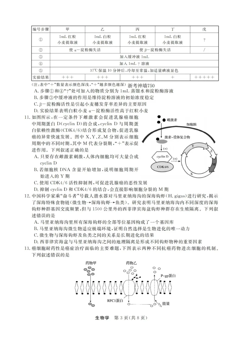 生物试卷-浙江强基联盟2025年12月高二联考_251230浙江省强基联盟2025-2026学年高二上学期12月联考（全）