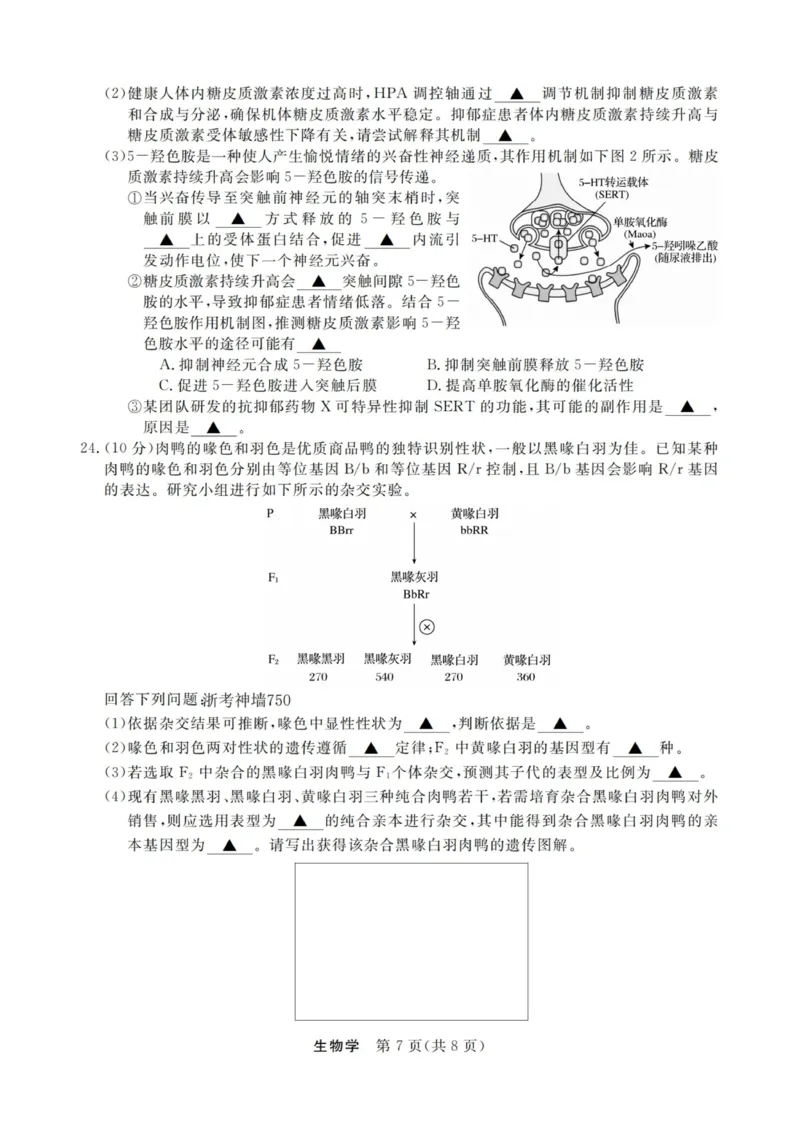生物试卷-浙江强基联盟2025年12月高二联考_251230浙江省强基联盟2025-2026学年高二上学期12月联考（全）