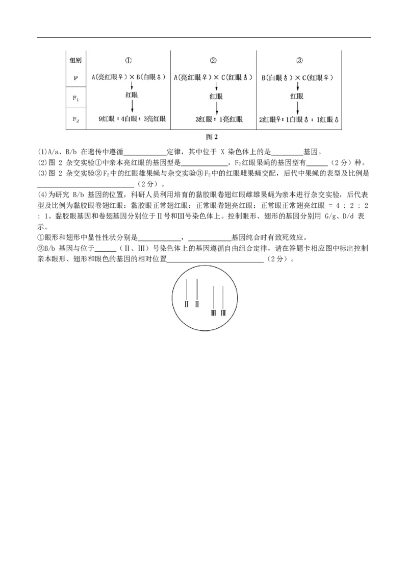 江苏省无锡市澄宜六校联盟2025-2026学年高三上学期12月考试生物Word版_2024-2026高三（6-6月题库）_2025年12月高三试卷
