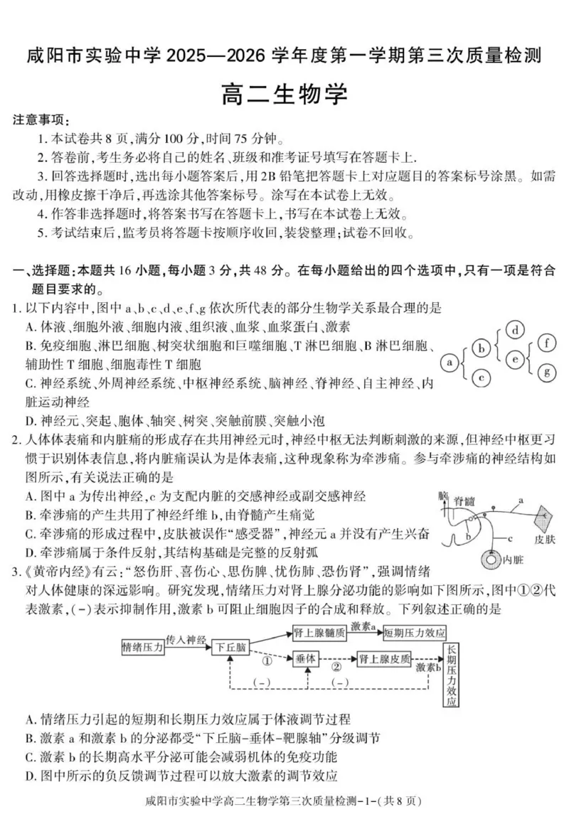 陕西省咸阳市实验中学2025-2026学年高二上学期第三次质量检测生物试卷_2024-2025高二（7-7月题库）_2026年1月高二_260110陕西省咸阳市实验中学2025-2026学年高二上学期第三次质量检测（全）