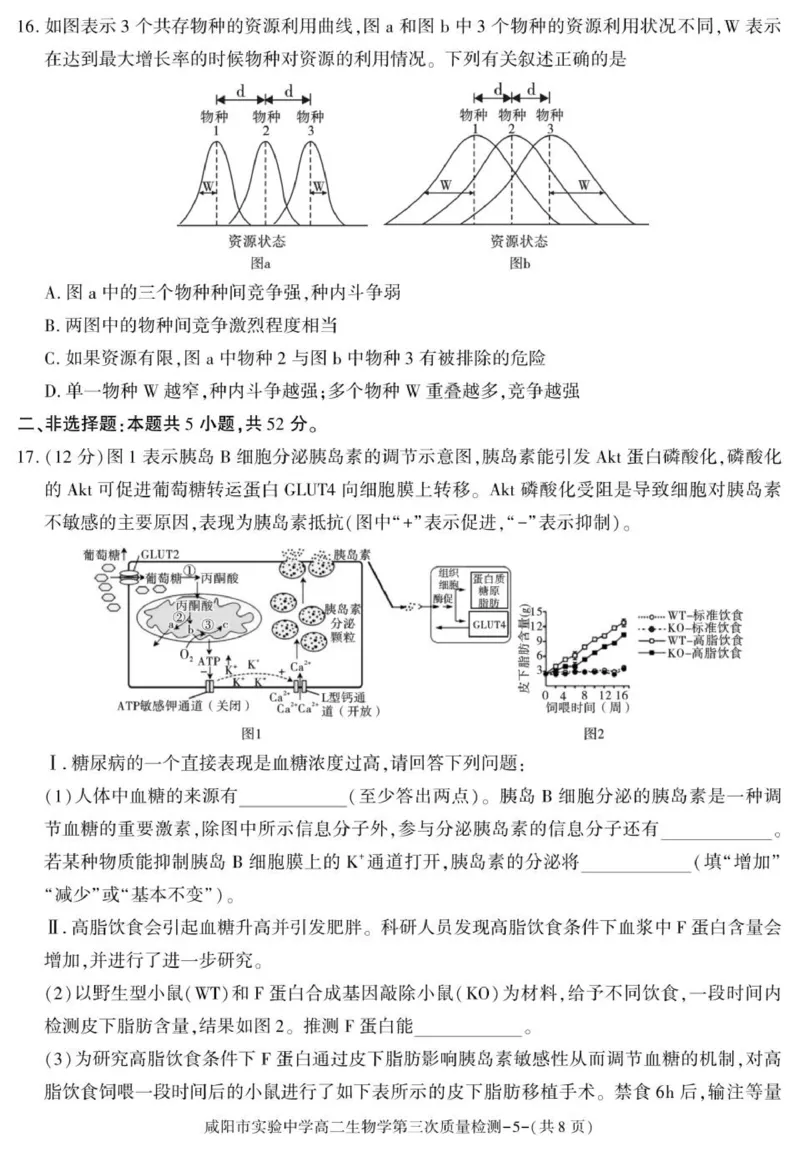 陕西省咸阳市实验中学2025-2026学年高二上学期第三次质量检测生物试卷_2024-2025高二（7-7月题库）_2026年1月高二_260110陕西省咸阳市实验中学2025-2026学年高二上学期第三次质量检测（全）