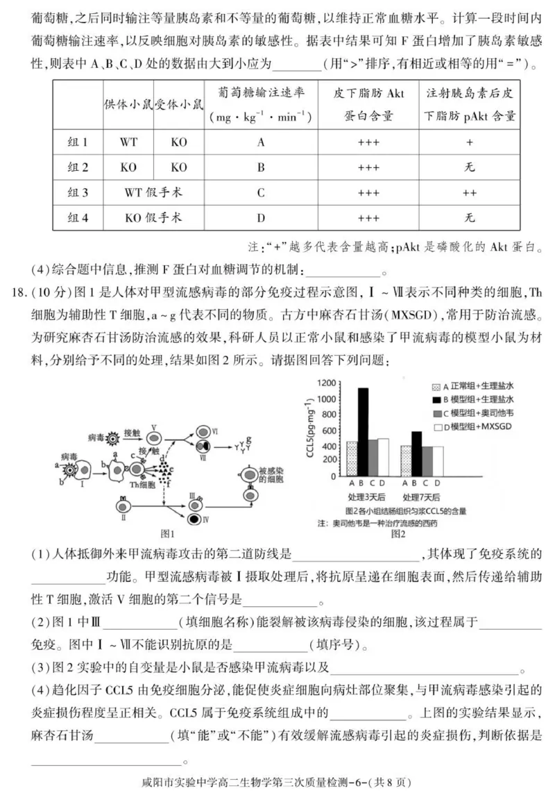 陕西省咸阳市实验中学2025-2026学年高二上学期第三次质量检测生物试卷_2024-2025高二（7-7月题库）_2026年1月高二_260110陕西省咸阳市实验中学2025-2026学年高二上学期第三次质量检测（全）