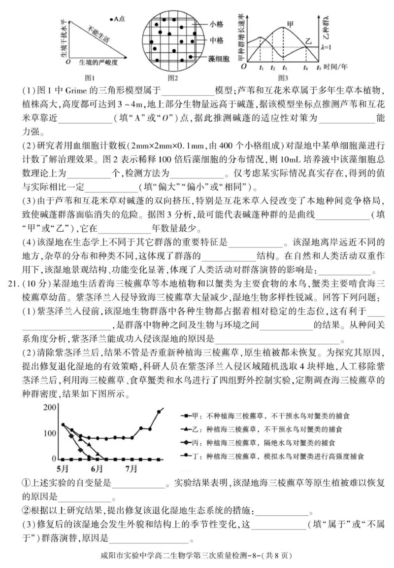 陕西省咸阳市实验中学2025-2026学年高二上学期第三次质量检测生物试卷_2024-2025高二（7-7月题库）_2026年1月高二_260110陕西省咸阳市实验中学2025-2026学年高二上学期第三次质量检测（全）