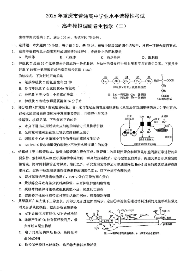 26康德模拟调研2生物_2024-2026高三（6-6月题库）_2026年01月高三试卷_01112026年重庆市普通高中学业水平选择性考试高考模拟调研卷（二）（全）