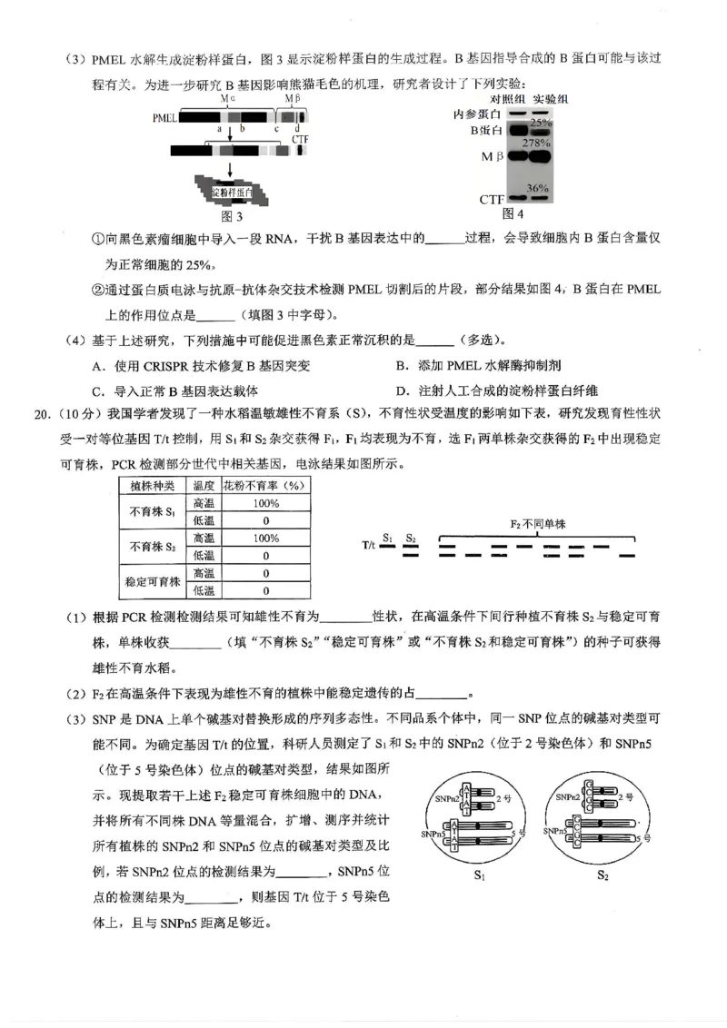 26康德模拟调研2生物_2024-2026高三（6-6月题库）_2026年01月高三试卷_01112026年重庆市普通高中学业水平选择性考试高考模拟调研卷（二）（全）