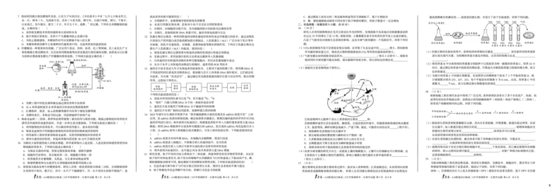 生物（B卷）1号卷&middot;A10联盟2023级高二5月学情调研考_2024-2025高二（7-7月题库）_2025年6月试卷_0604安徽省1号卷&middot;A10联盟2023级高二5月学情调研考
