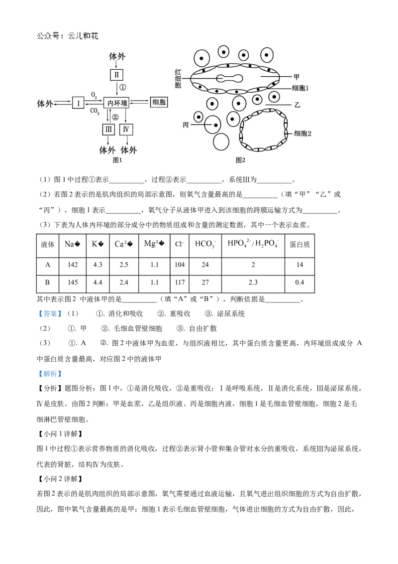 辽宁省名校联盟2024-2025学年高二上学期第一次月考生物试卷Word版含解析_2024-2025高二（7-7月题库）_2024年10月试卷_1024辽宁省名校联盟2024-2025学年高二上学期第一次月考