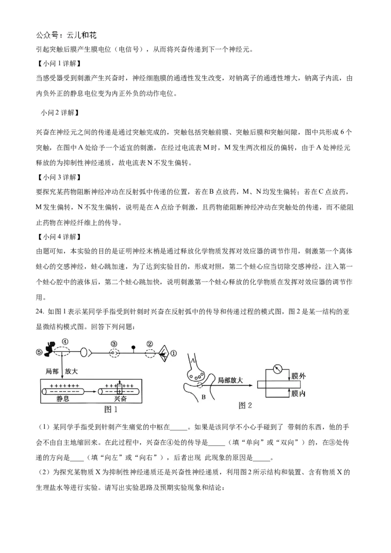 辽宁省名校联盟2024-2025学年高二上学期第一次月考生物试卷Word版含解析_2024-2025高二（7-7月题库）_2024年10月试卷_1024辽宁省名校联盟2024-2025学年高二上学期第一次月考