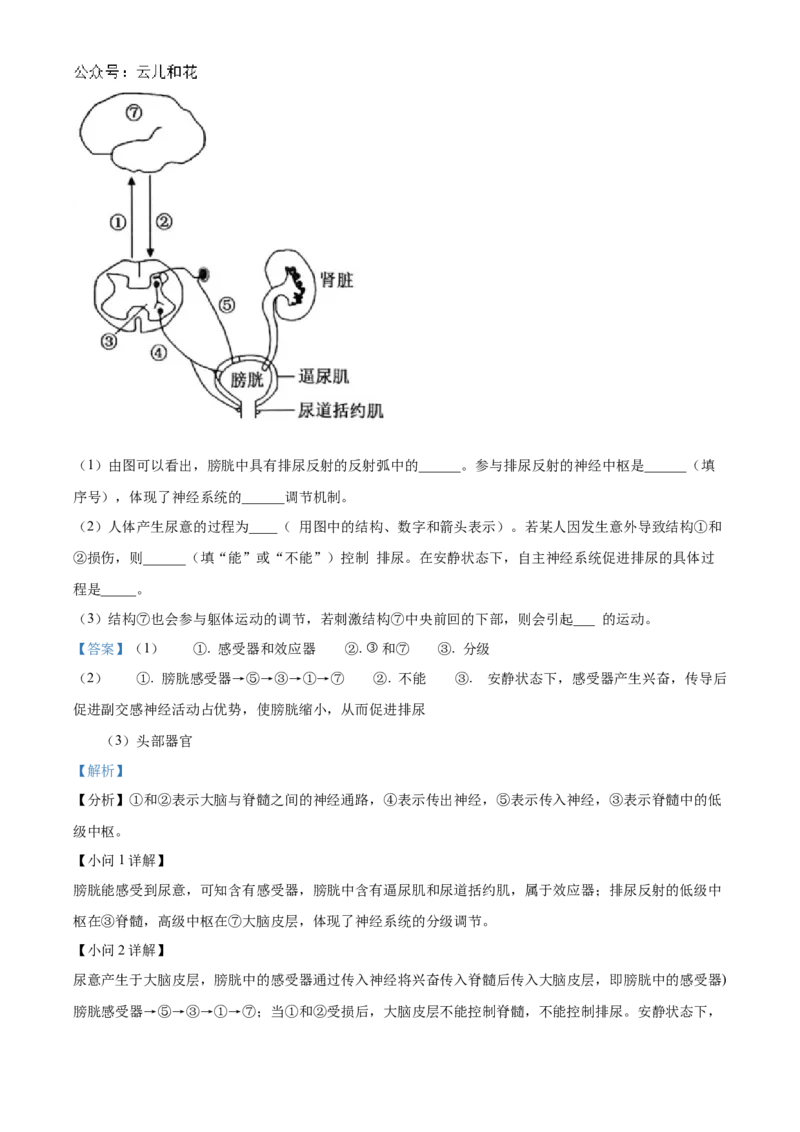 辽宁省名校联盟2024-2025学年高二上学期第一次月考生物试卷Word版含解析_2024-2025高二（7-7月题库）_2024年10月试卷_1024辽宁省名校联盟2024-2025学年高二上学期第一次月考