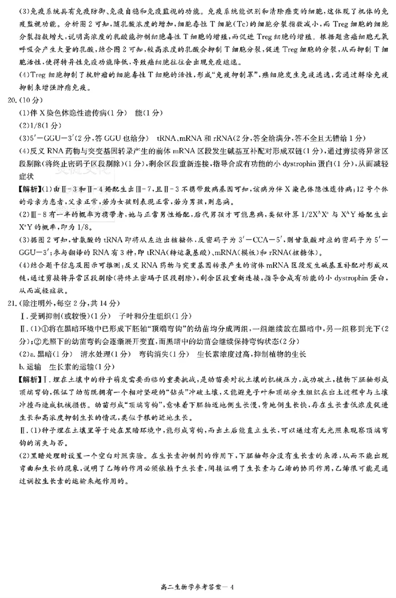 生物答案_251220湖南新高考教学联盟长郡二十校联盟12月高二联考_湖南省新高考教学教研联盟2025-2026学年高二上学期12月学情检测生物试题含答案