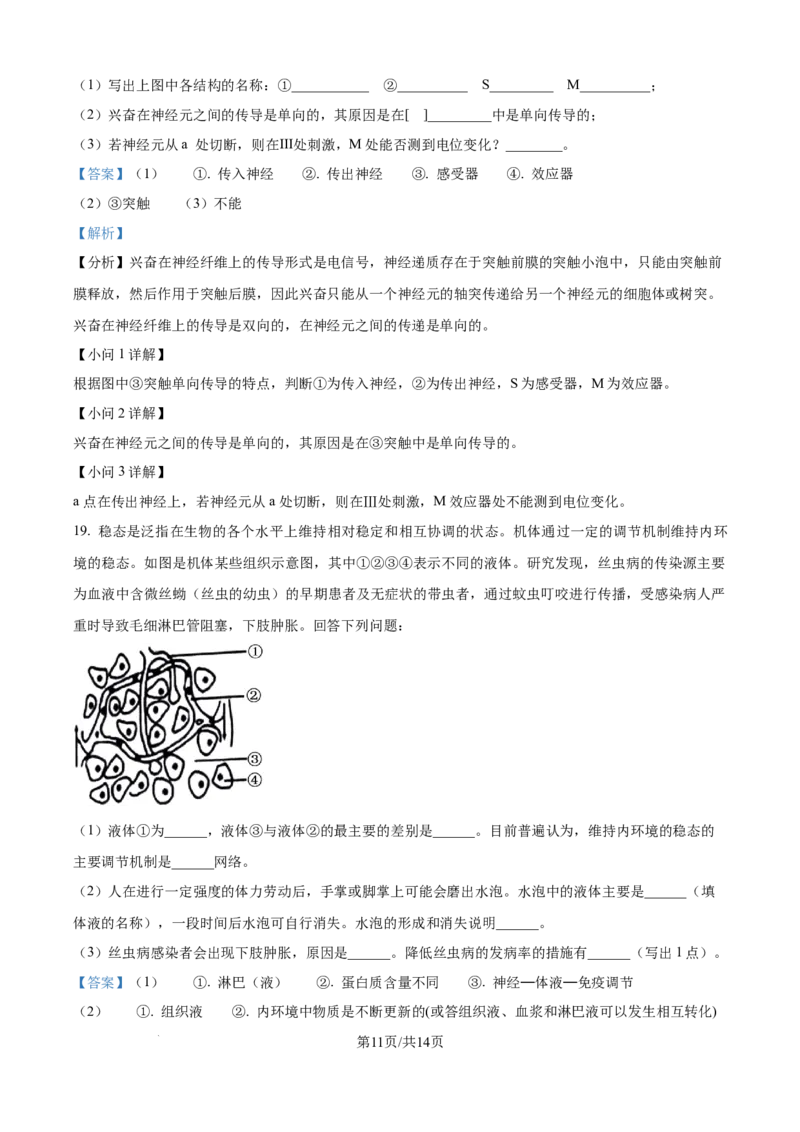 精品解析：山西省朔州市怀仁市大地学校高中部2025-2026学年高二上学期9月第一次月考生物试卷B（解析版）_2025年10月高二试卷