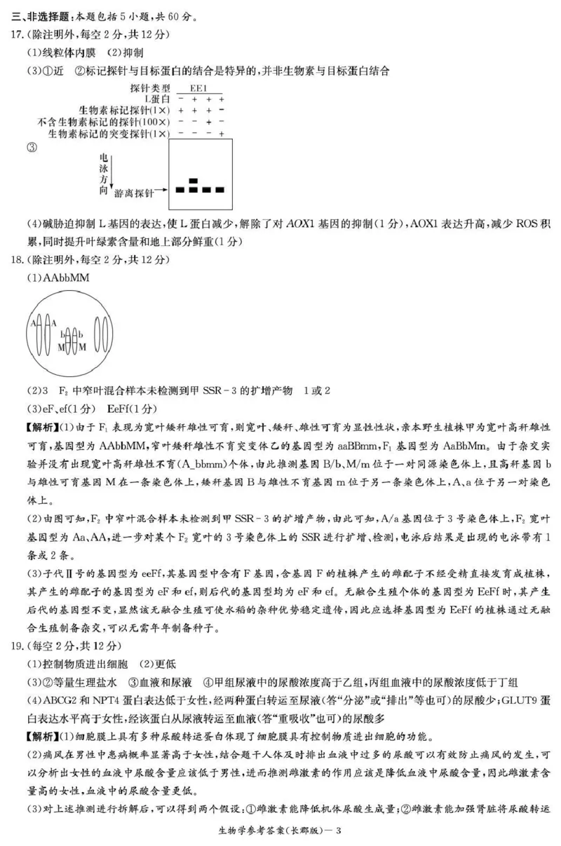 长郡中学2026届高三月考试卷（五）生物答案_2024-2026高三（6-6月题库）_2026年01月高三试卷_0104炎德&middot;英才大联考长郡中学2026届高三月考试卷（五）