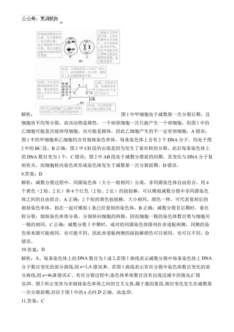 （8）遗传的细胞基础&mdash;&mdash;2025届高考生物二轮复习易错重难提升（含解析）_2024-2025高三（6-6月题库）_2025年02月试卷_02162025届高考生物二轮复习易错重难提升（含解析）