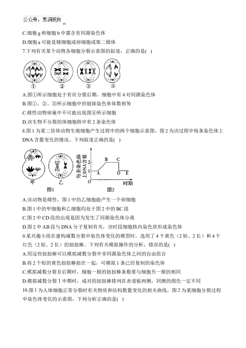 （8）遗传的细胞基础&mdash;&mdash;2025届高考生物二轮复习易错重难提升（含解析）_2024-2025高三（6-6月题库）_2025年02月试卷_02162025届高考生物二轮复习易错重难提升（含解析）