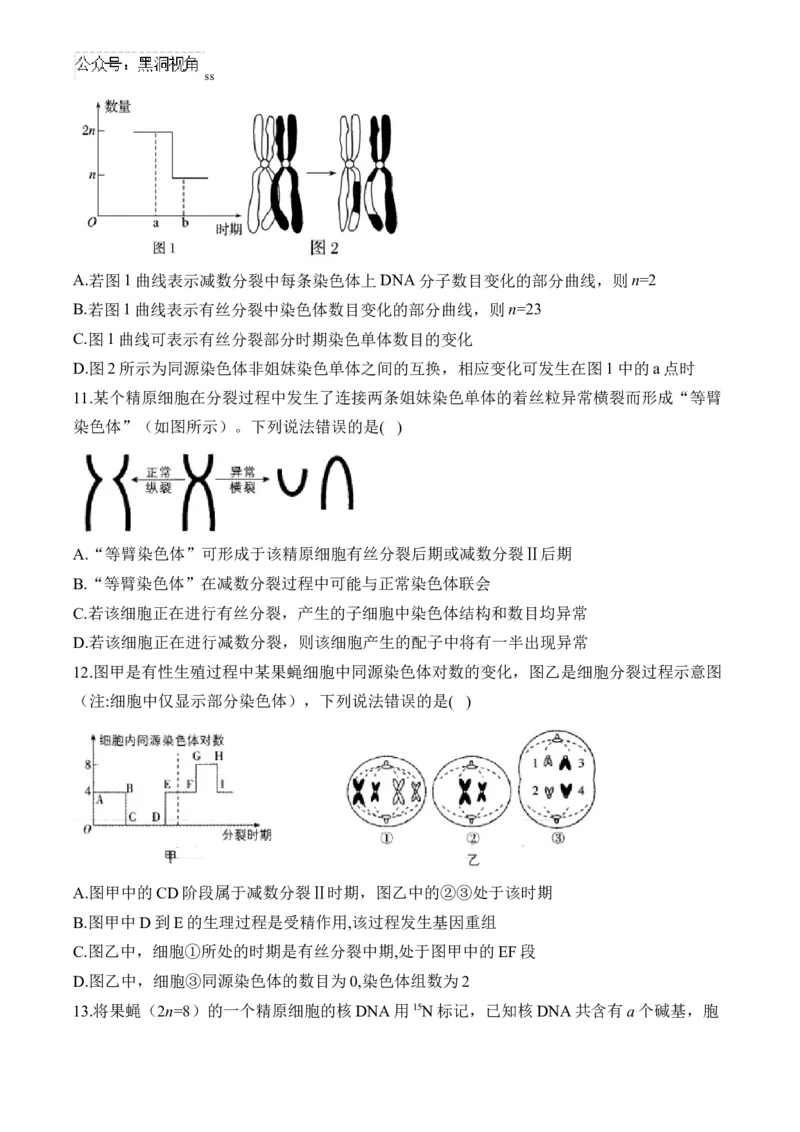 （8）遗传的细胞基础&mdash;&mdash;2025届高考生物二轮复习易错重难提升（含解析）_2024-2025高三（6-6月题库）_2025年02月试卷_02162025届高考生物二轮复习易错重难提升（含解析）