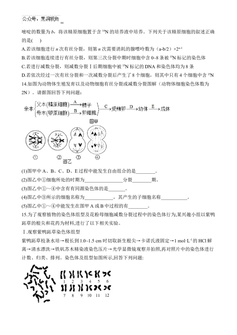 （8）遗传的细胞基础&mdash;&mdash;2025届高考生物二轮复习易错重难提升（含解析）_2024-2025高三（6-6月题库）_2025年02月试卷_02162025届高考生物二轮复习易错重难提升（含解析）
