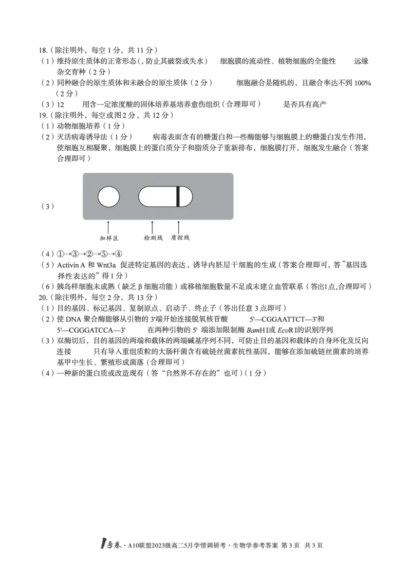 生物答案1号卷&middot;A10联盟2023级高二5月学情调研考生物学答案_2024-2025高二（7-7月题库）_2025年6月试卷_0604安徽省1号卷&middot;A10联盟2023级高二5月学情调研考