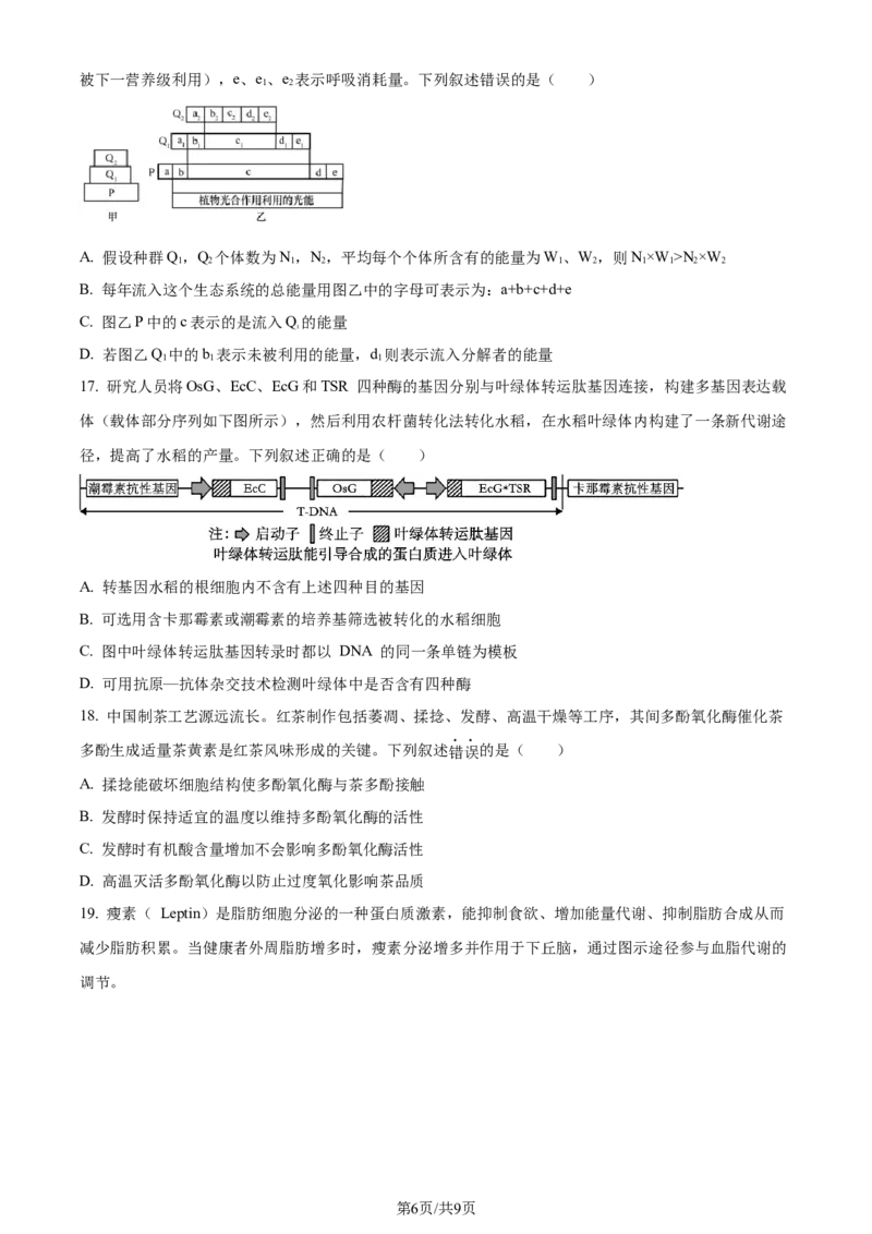 精品解析：湖北省荆州市沙市区湖北省沙市中学2023-2024学年高三下学期7月月考生物试题（原卷版）_2024-2025高三（6-6月题库）_2024年08月试卷
